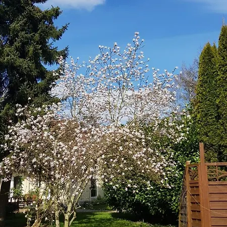 Duangs Sleep'n Go * Faxe