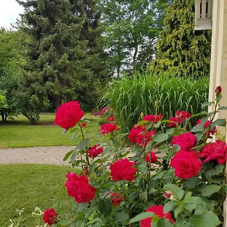 Duangs Sleep'n Go * Faxe