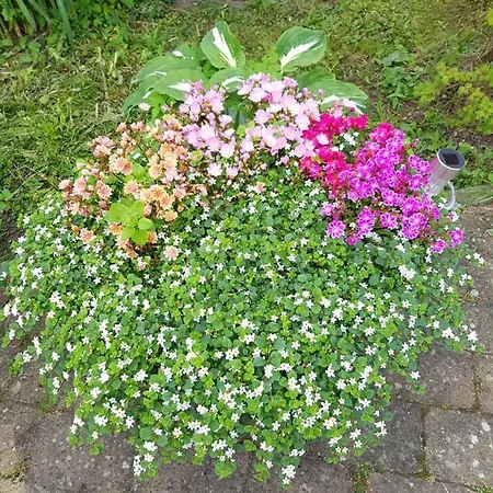 Duangs Sleep'n Go 住宿加早餐酒店 Faxe