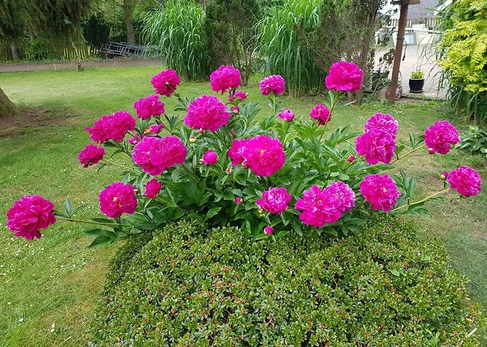 Bed & Breakfast Duangs Sleep'n Go Faxe