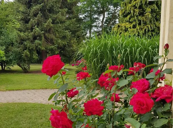 Duangs Sleep'n Go * Faxe